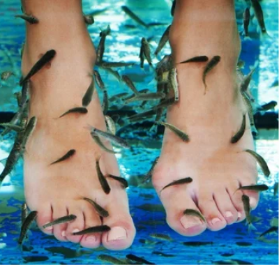 Fish Spa en cancún