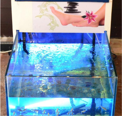 Fish Spa en cancún