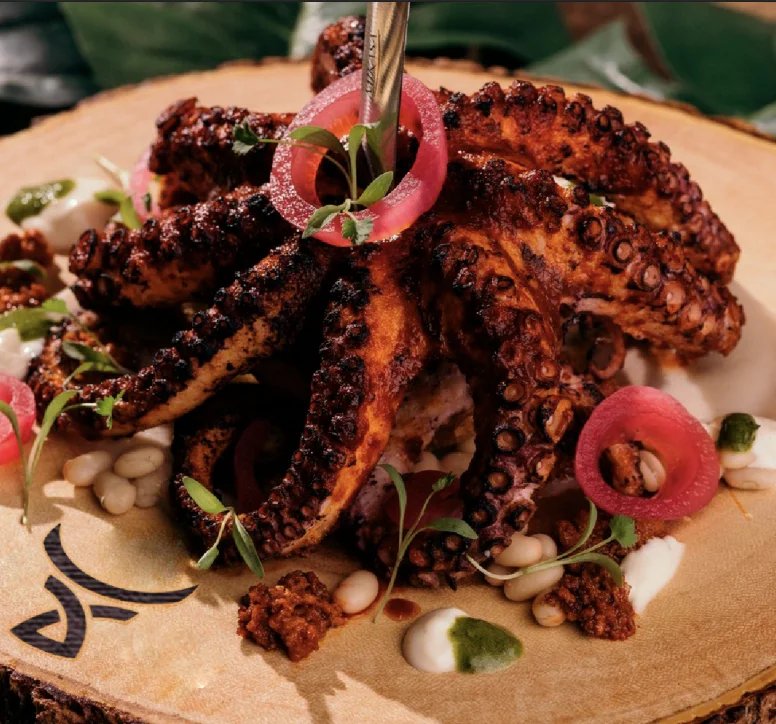 Sunset Harbor en cancún